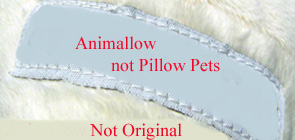 Click on the Image to Enlarge